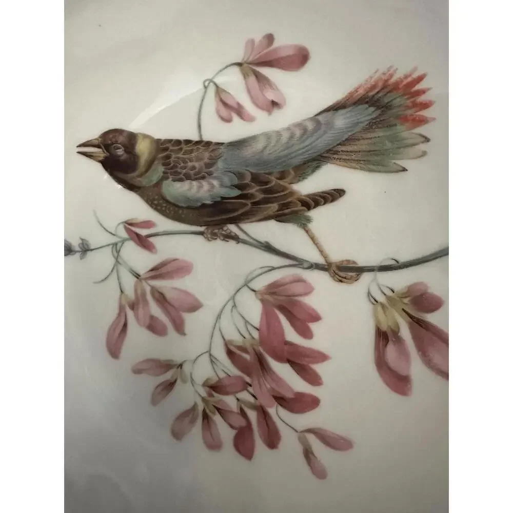 Vintage Hand Painted Bavaria Debra Porcelain Bird Plate Made In Germany